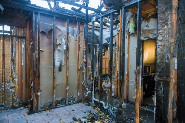 Professional Smoke Odor Removal technician working in Clearwater, MN
