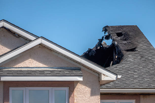 Top rated local Smoke Odor Removal specialists in Clearwater, MN